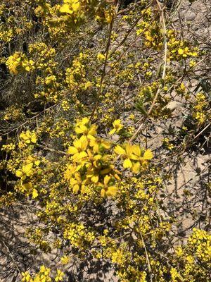 North Clairemont Recreation Center