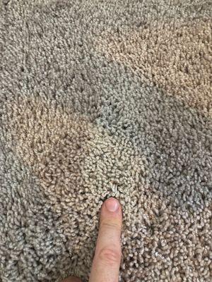 Atlantic Construction