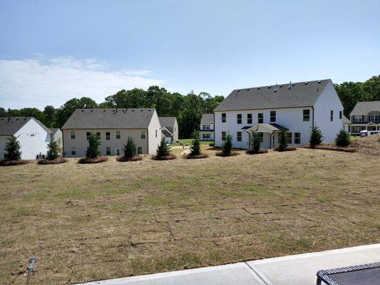 Rodriguez Landscaping and Tree Work