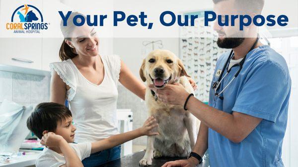 Coral Springs Animal Hospital