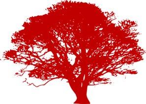 Cherokee Tree & Landscape