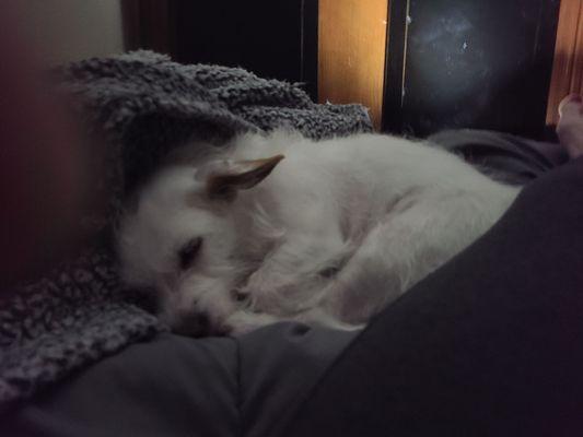 Sutter County Animal Control & Shelter