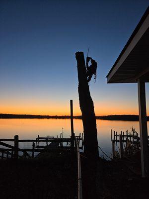 Life & Limb Tree Care