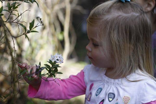 Nature's Way Montessori