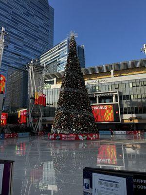 LA Kings Holiday Ice - LA Live