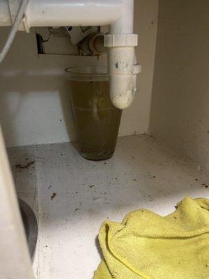 Bridges at 9 Mile Station Apartments