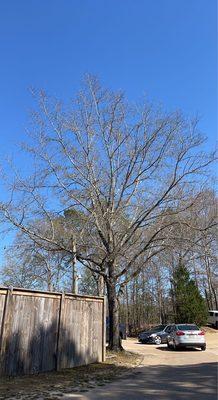 Castlewoods Country Club