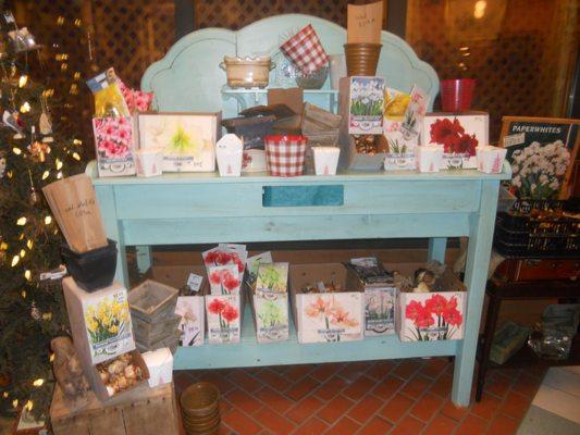 bulbs for forcing!!!!paperwhites and amaryllis. Growing things will help you make it til spring