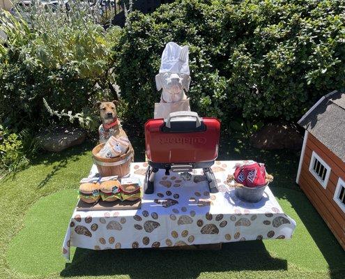 Phoebe enjoying a summer bbq at Best Friends Pet Supplies