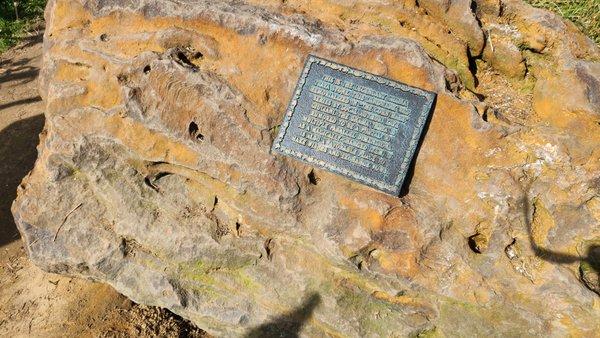 The Maryland Corn Maze