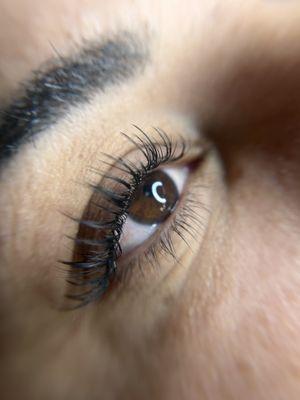 Malayamade Lash + Brow