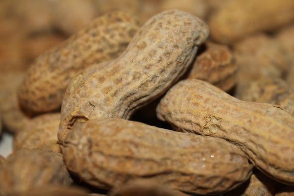 Great Southern Peanut