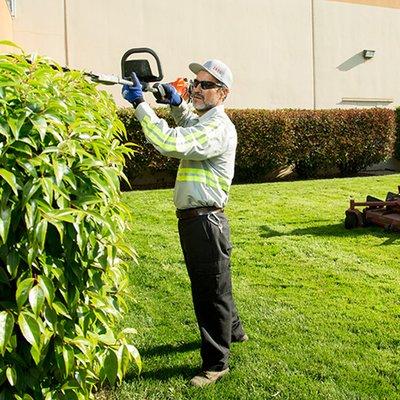 Aguilar Lopez Landscaping Services