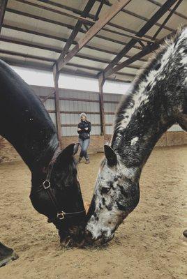 Strides of Grace Equestrian