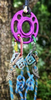 Big Island Trees - Pro Arborist Services