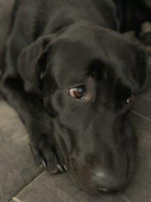 Aloha Wellness Studio