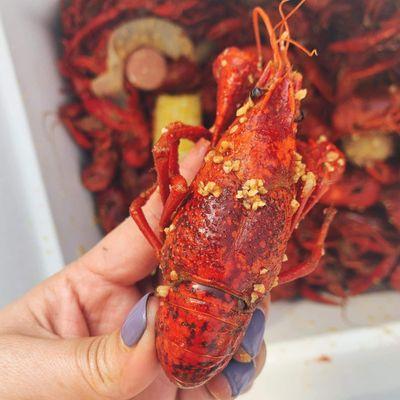 Jumbo Live Crawfish & Seafood