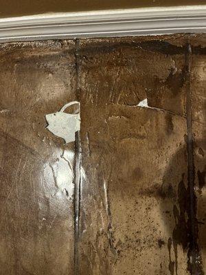 CRS Concrete Resurfacing Systems