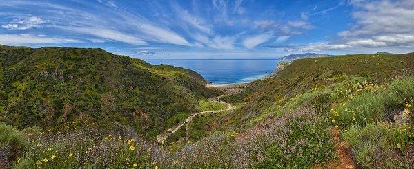 Catalina Island Conservancy