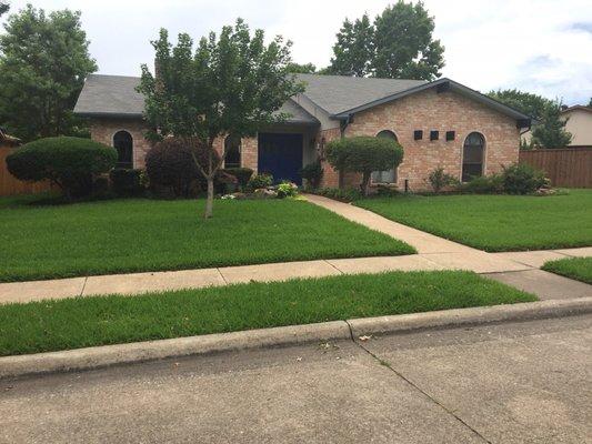 New Hope Landscaping Maintenance