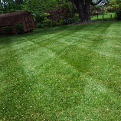 Padgett Lawn Service