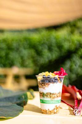 The Niu Parfait- KokoKai Coconut Yogurt layered with granola, fresh fruit & local honey