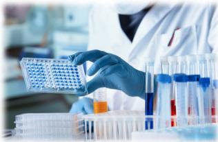 Carolina Health Specialists