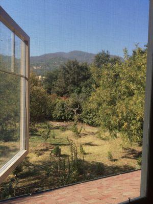 Rumsey House: view from the window seat