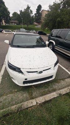 They did not clean this up and they just left the grass where you see it in the picture!