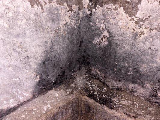 Oak Creek Management