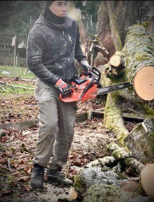 Vu Nguyen Landscaping And Junk Removal