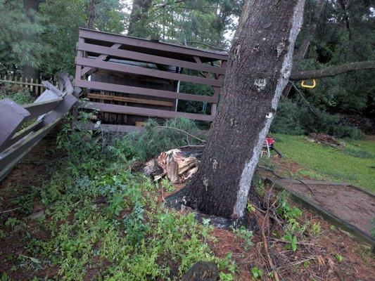 All Affordable Tree Service & Landscapes