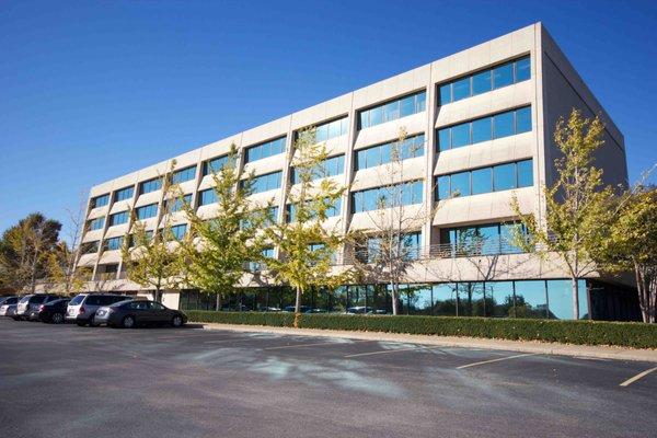 PPC Management Experts