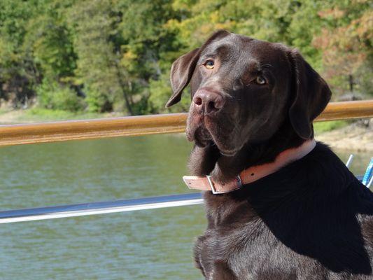 Plantation Animal Hospital