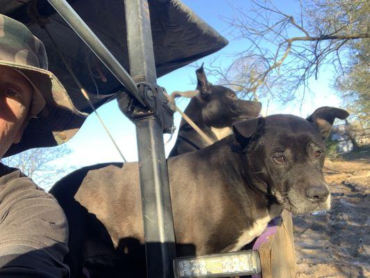 Cedar Creek Veterinary Clinic