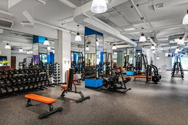 Cambridge Fitness Brier Creek