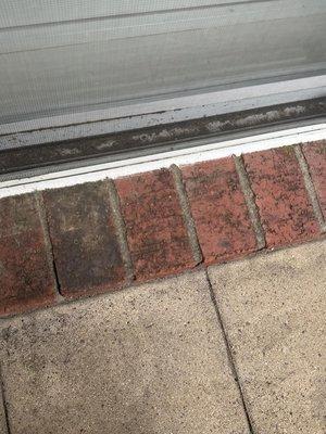 Precision Window Cleaning