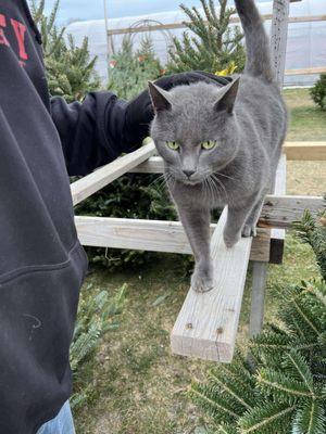 Cedarburg Creek Farm
