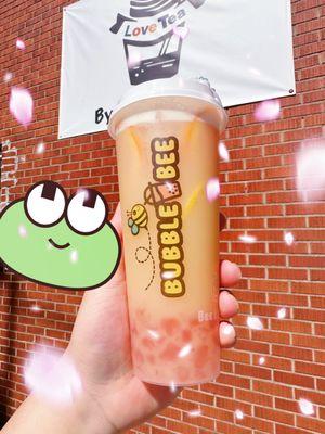 Bubble Bee Ross Park