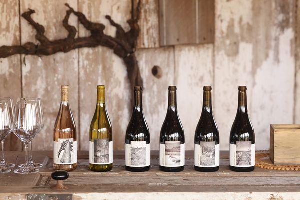 Ricci Vineyards Carneros