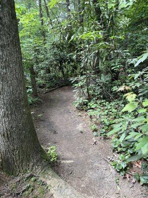 Trail down to the water