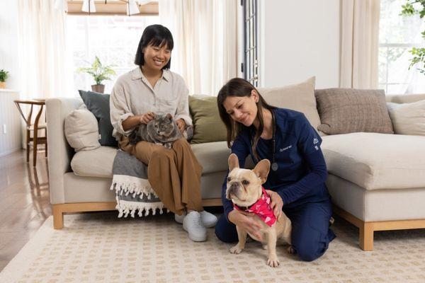 BetterVet Denver, Mobile Vet Services