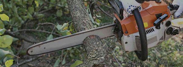 McGuire Tree Trimming and Removal