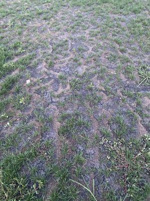 Turf Tamers Lawncare And Landscaping