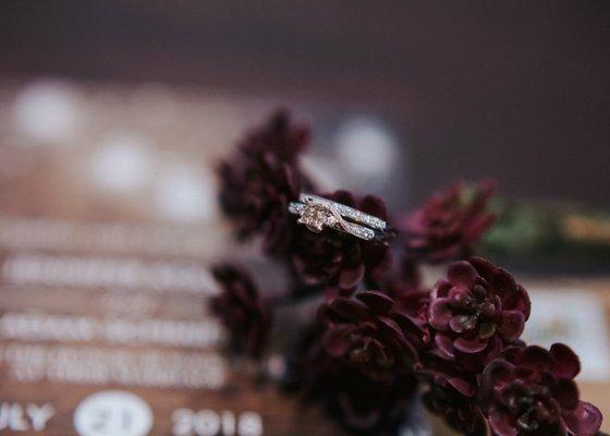 Wild Joy Photography