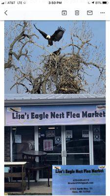 Lisas Eagle Nest we have over 50,000 items 75 vendors we're open Monday through Saturday 9 to 5 and Sundays 1 to 5 coffee is free !