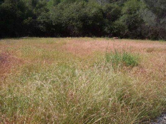 Wizwire Communications