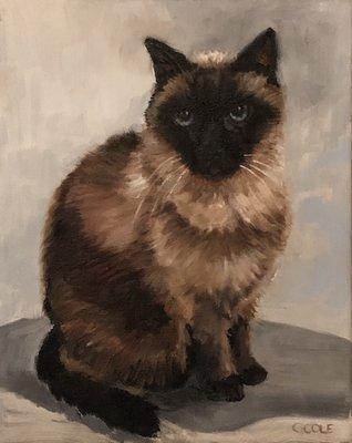 Cat Portrait 8 x 10 oil painting