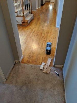 just pulled trim to pull carpet for a lace in install.