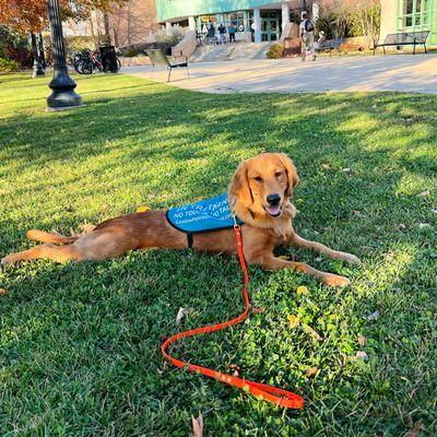 Canine Peace of Mind